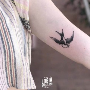 tatuaje-brazo-golondrina-ferran-torre-logia-barcelona 